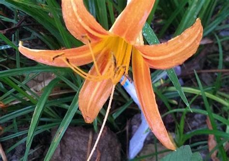 WANGYOUYUAN (Fuli) - B&B Reviews & Photos - Tripadvisor