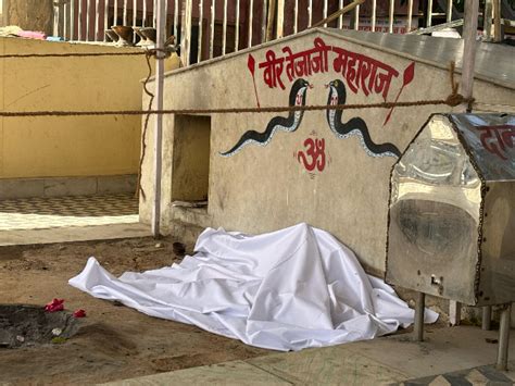 Protests erupt after Veer Tejaji idol vandalised in Jaipur