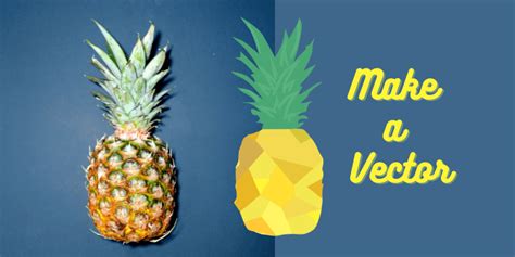 Image result for Vector Creating Tutorials Illustrator