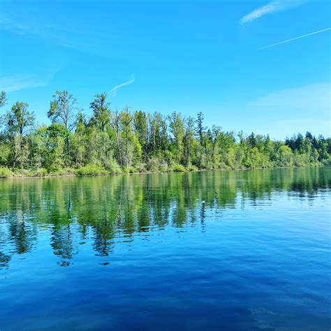 Escape To The Emerald Gem: Your Guide To Molalla River State Park
