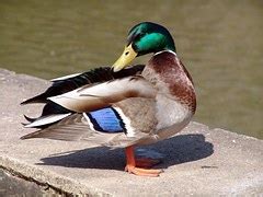 Image result for Example of Operational Control around Master Data
