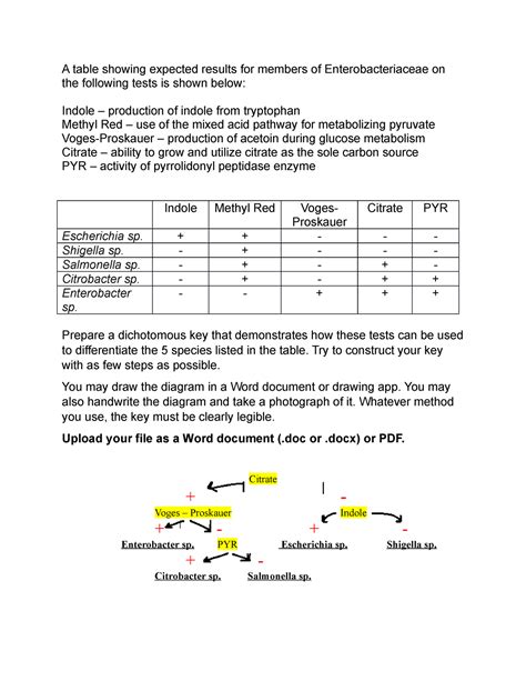 Create a dichotomous key - BIOS 351 - UIC - Studocu