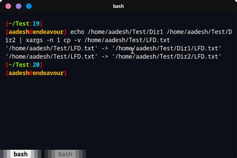 Image result for String Copy File in Linux
