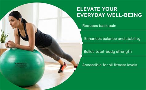 Thera-Band Standard Exercise Ball ,65 cm Diameter : Amazon.in: Sports ...