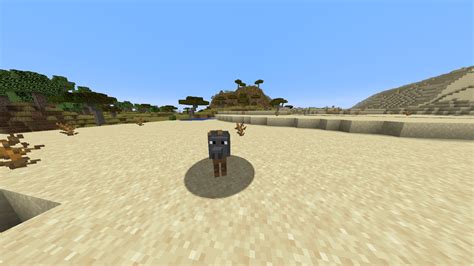 Image result for Earth Computer