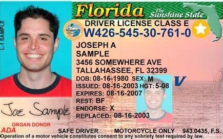 Drivers License Check 的图像结果