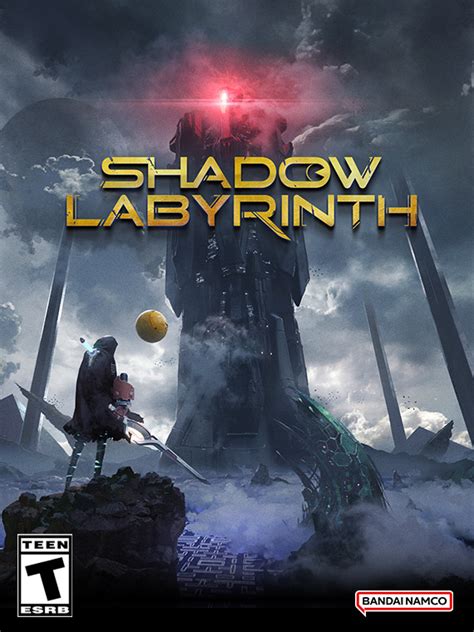 Image result for Shadow Labyrinth Switch 2 Edition