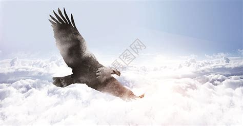 展翅雄鹰图片素材-正版创意图片501032650-摄图网