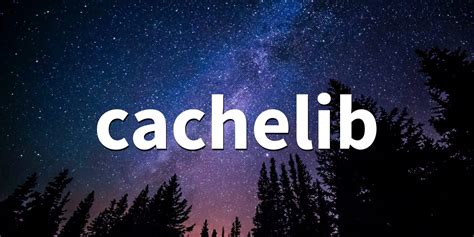 Image result for Camera Cache Libye