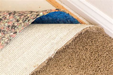Image result for Installing Carpet Padding