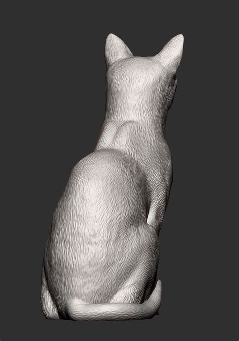 Abyssinian Cat 3D Print Model by Alexander3dart