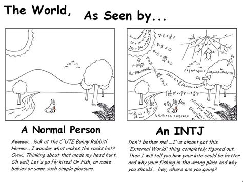 Key Differences Between Intp And Intj Intp Intj And Mbti