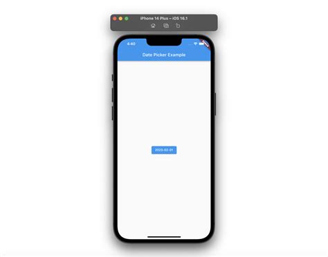 Date PICKER Flutter 的图像结果