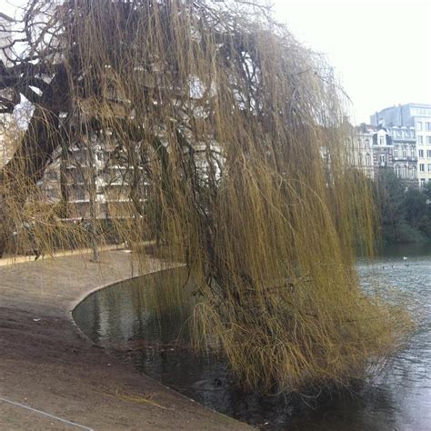 SQUARE AMBIORIX (2025) All You Need to Know BEFORE You Go (with Photos ...