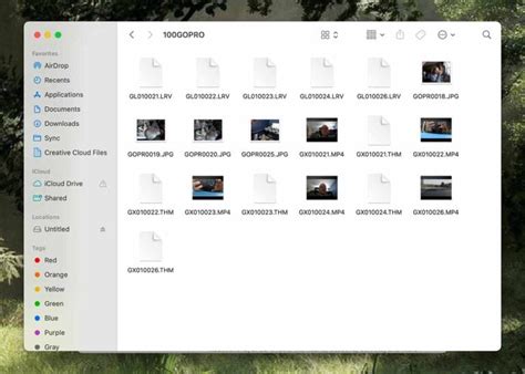 Image result for How to View GoPro Video On Mac Computer