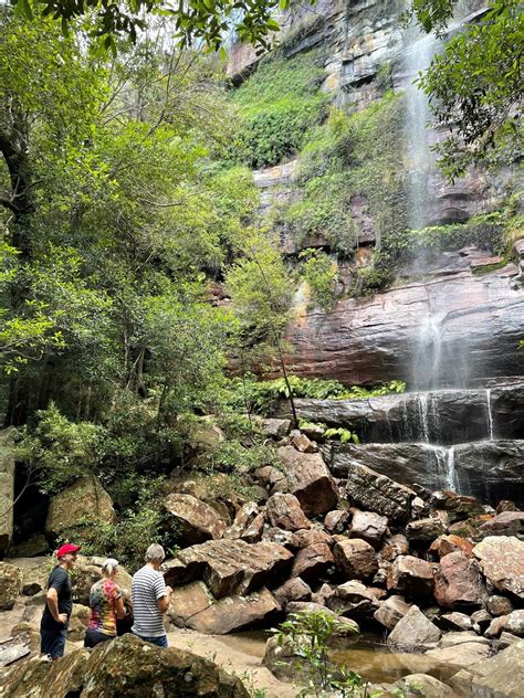 The Natural Gardener Book - Garden Life