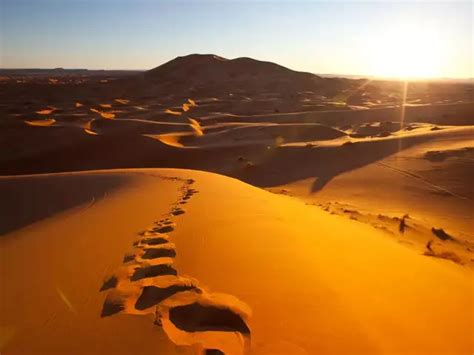 Countries with the largest desert areas in the world - A journey ...