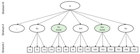 Reflections and New Perspectives on Face Cognition as a Specific Socio ...