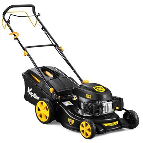 RASAERBA A SCOPPIO GREEN 53 SP/N PAPILLON   Pratiko Store