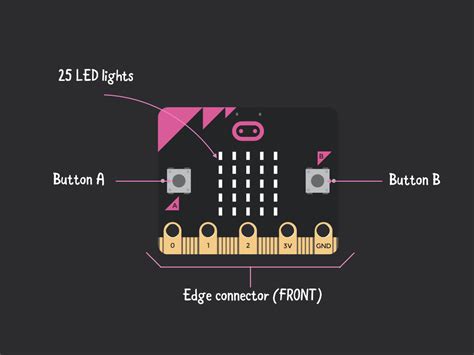 How to Use a Micro Bit 的图像结果