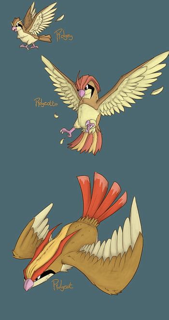 Image result for Pidgeotto Evolution Levels