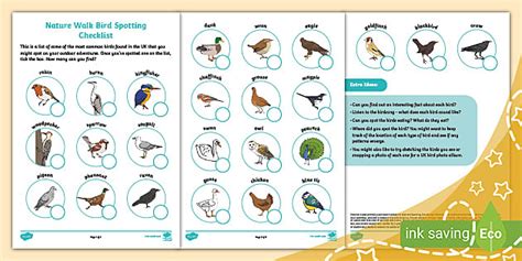 Editable Nature Walk Bird Spotting Checklist (teacher made)