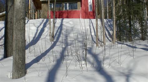FAIRBANKS RED HOUSE - Guesthouse Reviews & Photos - Tripadvisor