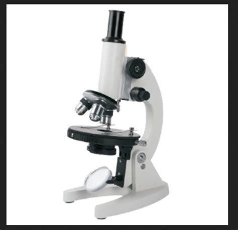 Image result for Laboid Microprocessor