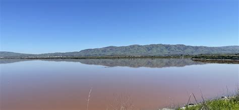 Alviso Marina County Park – San Jose’s Salty Pink Pond – World Class Hugs