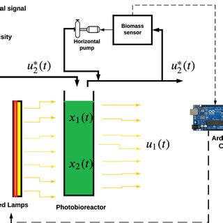 Image result for Lux Algorithm