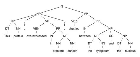Syntactic Tree 的图像结果