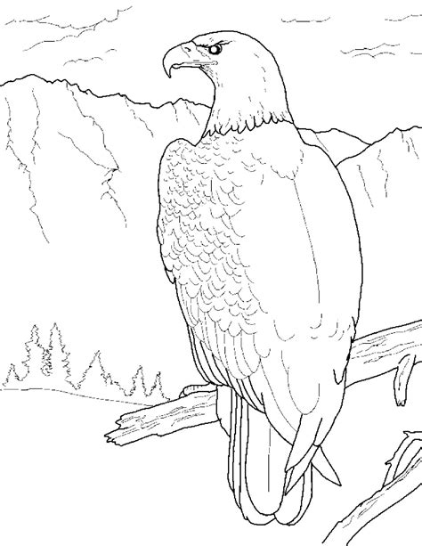 Free Printable Bald Eagle Coloring Pages For Kids