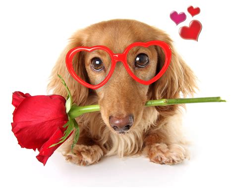 Happy Valentines Day from all of us at AccessFloorSystems. com We love ...
