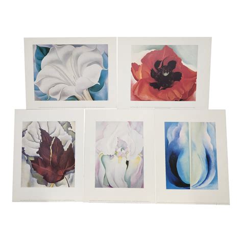 Vintage 80's Georgia O'Keeffe Floral Prints — Mounted & Ready to Hang ...