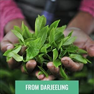 Udyan Tea Perfect Tea Infuser | Stainless Steel Fine Mesh Filter with ...