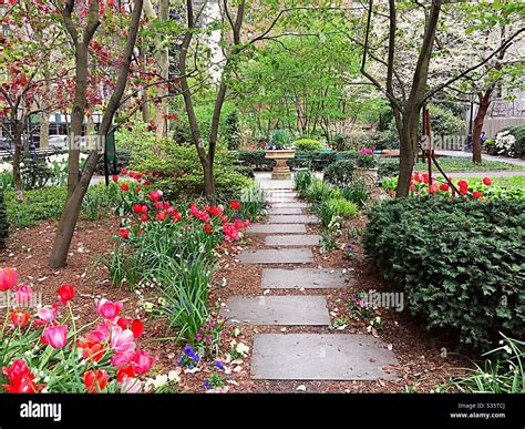 Flagstone steps lead to an ornate stone birdbath in Tudor city greens ...