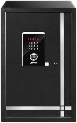 Godrej Security Solutions Forte Fire Resistant 20 LTR Locker with ...