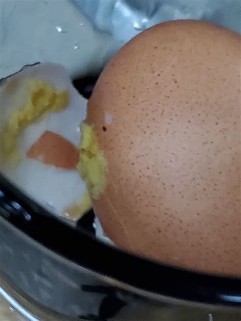 PSA never ever forget salt when boiling an egg in the microwave. it ...