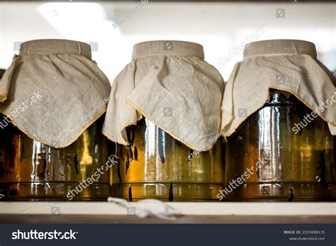 Cultivation Leeches On Leech Farm Laboratory Stock Photo 2215089135 ...