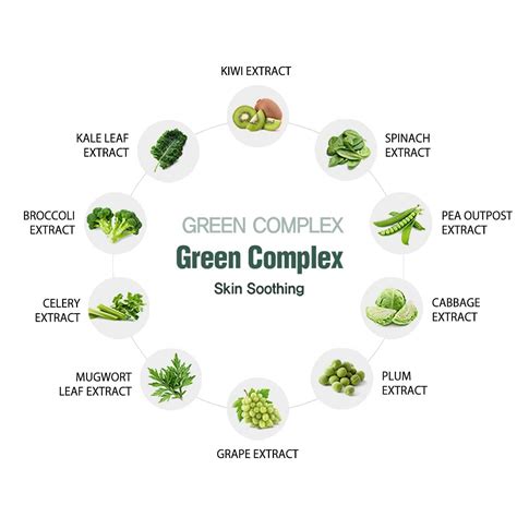 Buy DASHU Solution Cica Shield Sun Stick .67oz – Face sun stick, SPF 50 ...