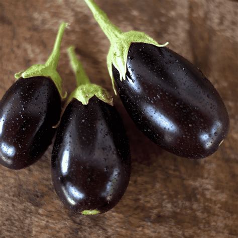 Premium Muktakeshi Brinjal Seeds 10gm Pack– High Yield, Non-GMO, Organ ...