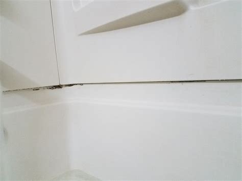 SYCAMORE VIEW INN (Memphis) - Motel Reviews & Photos - Tripadvisor