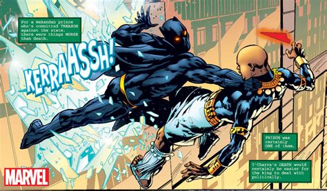 'Black Panther: Wakanda Forever's Mid-Credit Scene Explained: Was That ...