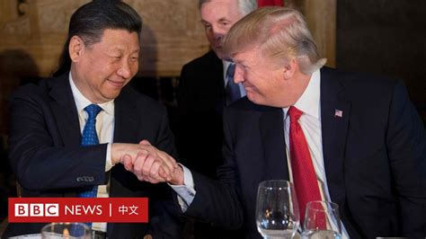 特朗普说同习近平会谈取得“很大进展” - BBC News 中文