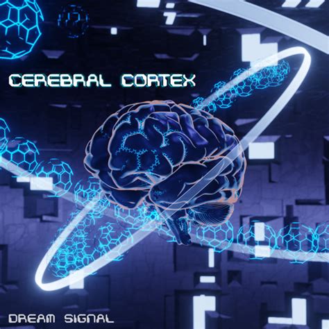 Image result for Cortex EP