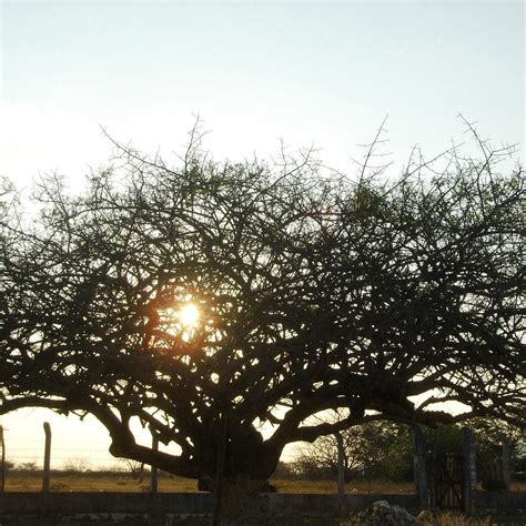 PARQUE ZOO-BOTANICO DA CAATINGA (2026) All You Need to Know BEFORE You ...