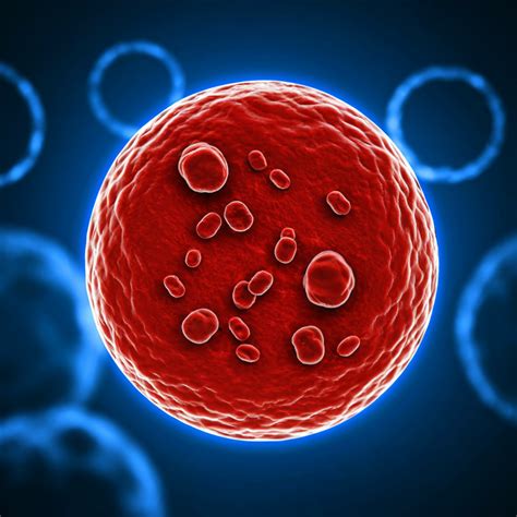 Exploring the Rare Bombay Blood Group: A Medical Marvel January 2026