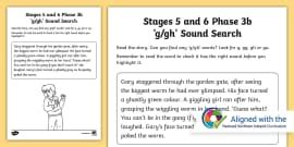 NI Linguistic Phonics Phase 4c ‘g/gh’ Sound Word Worksheet