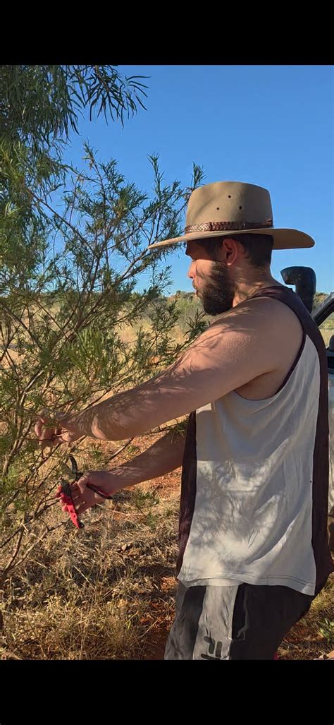Eremophila (Emu Bush) Benefits – Natural Antiseptic & Pain Relief | My Outback Bush Soaps Co
