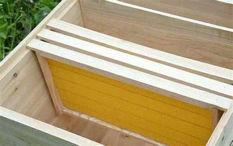 休閑養蜂(5斤): 蜂箱製作